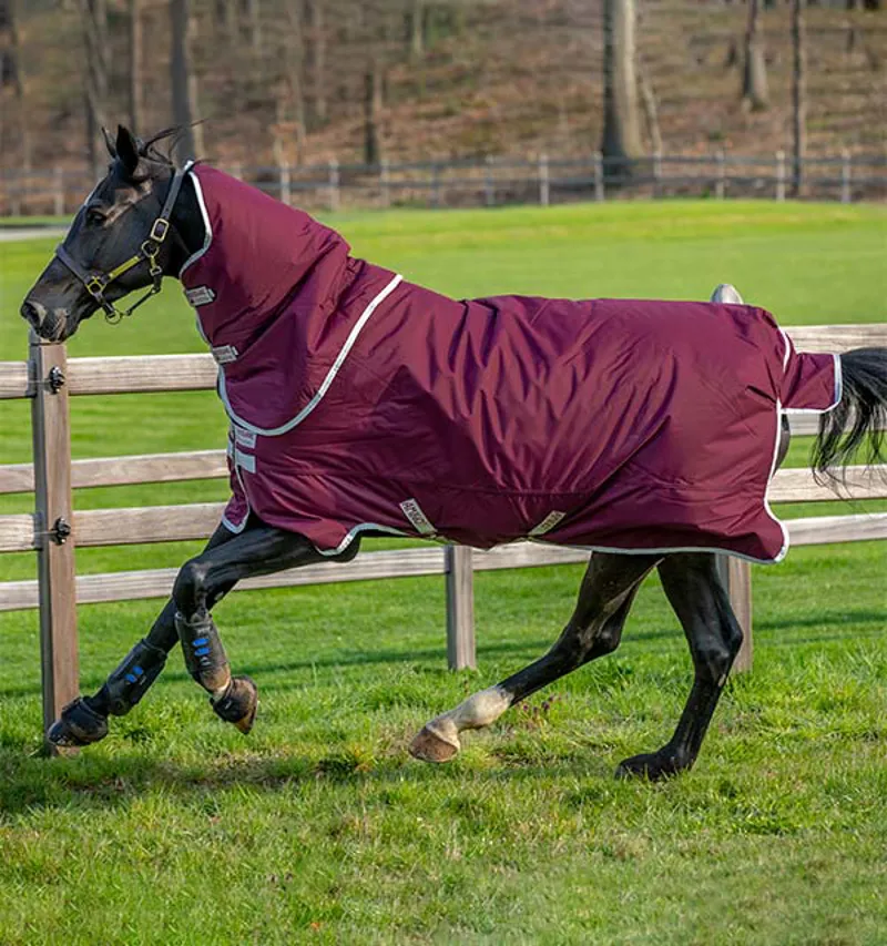 Amigo Hero 600D Ripstop Plus 200g Turnout Rug in Fig